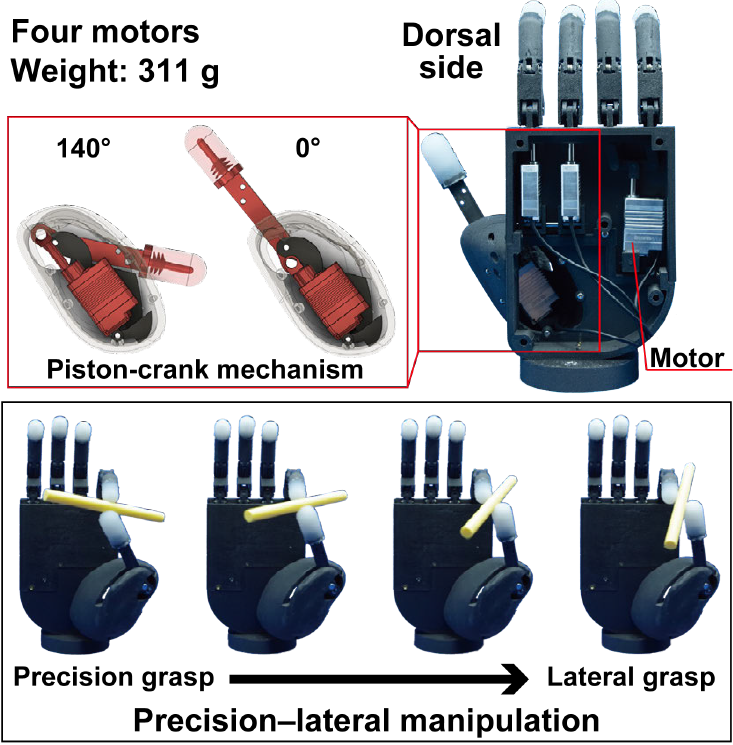 plexus_hand.png